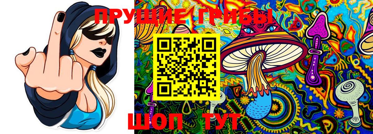 Галлюциногенные грибы Cubensis  Галлюциногенные грибы мицелий  Вход с VPN  купить закладку  Азов 