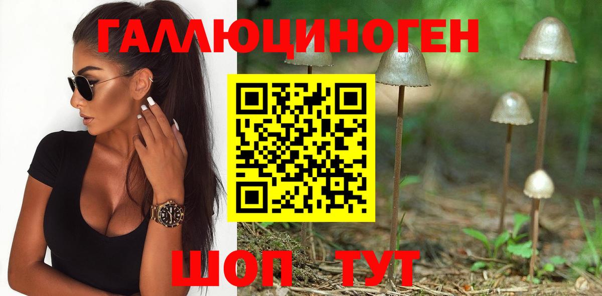 Псилоцибиновые грибы прущие грибы Азов